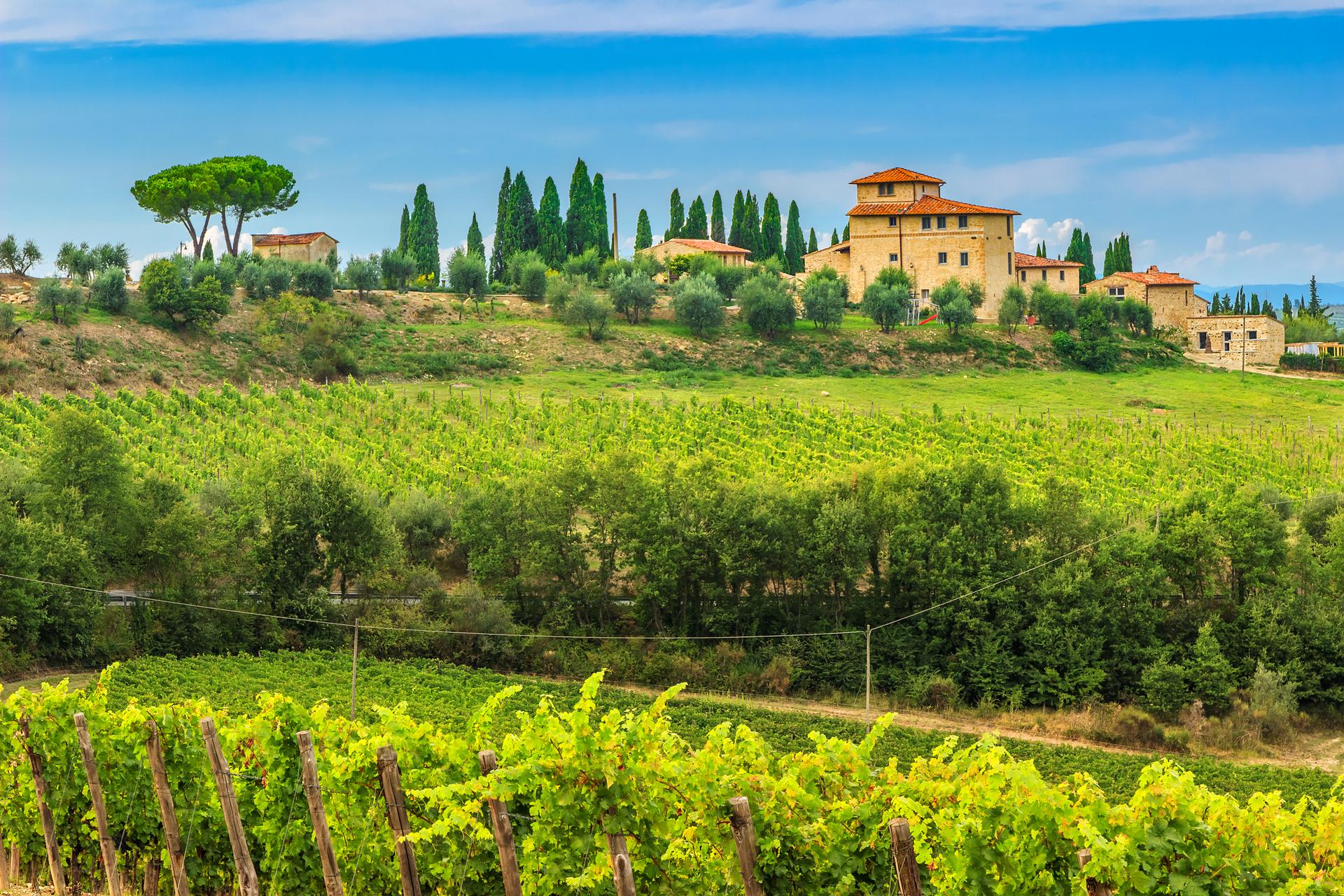 Estate Planning > Tuscany stone house
